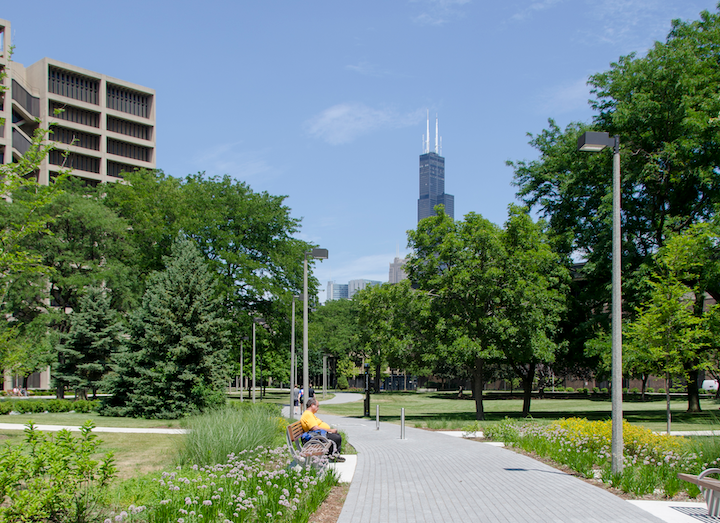 pathway near COE