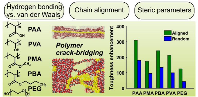 Daly research on graphene oxide layers