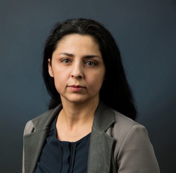 Didem Ozevin, an associate professor of civil, materials, and environmental engineering at UIC 