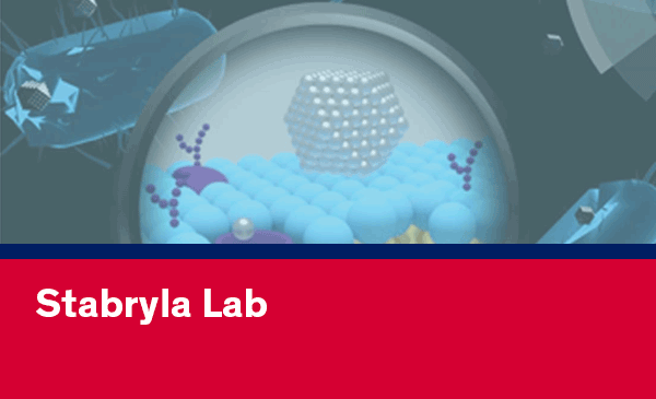 Image of Stabryla lab research